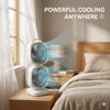 Dual Head Desk Fan